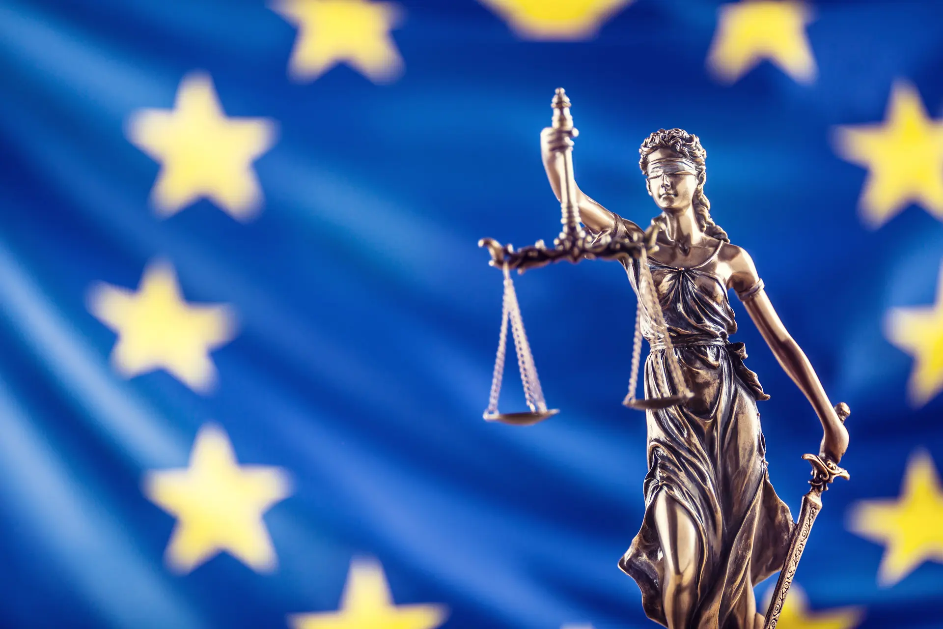 Europejski Trybunał Praw Człowieka w Strasburgu themis